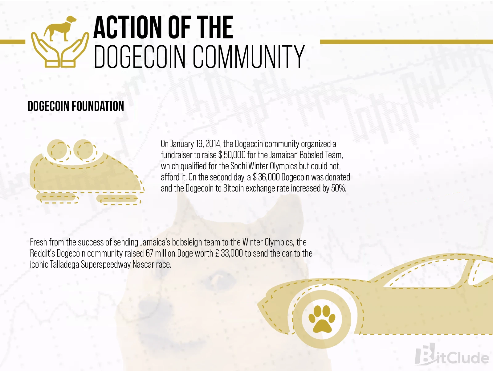 The Dogecoin community is very extensive, many collections and charity actions have been made using this cryptocurrency.