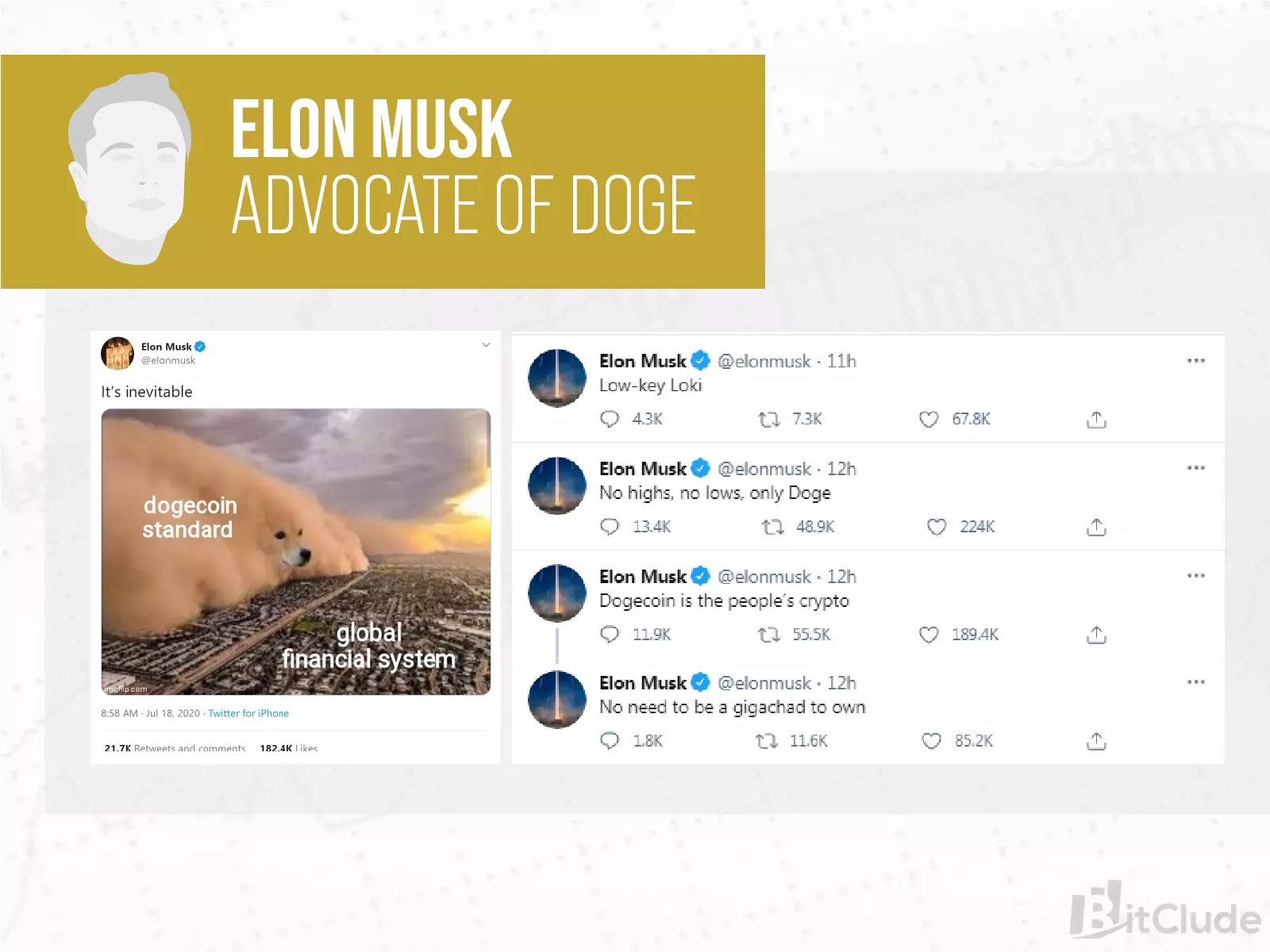 One of the greatest Dogecoin promotors is Elon Musk, who promoted the cryptocurrency through his Twitter account.